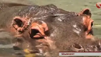 Zakon.kz, фото - Новости Zakon.kz от 02.07.2015 05:32