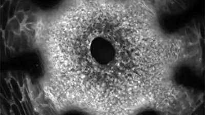 Zakon.kz, фото - Новости Zakon.kz от 10.03.2016 01:31