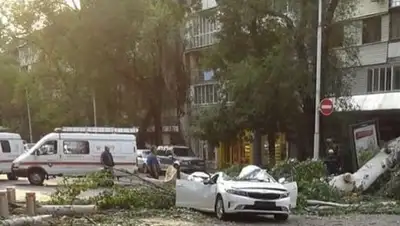 соцсети, фото - Новости Zakon.kz от 13.08.2018 13:35