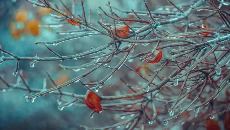 Игрокам Манчестер Юнайтед сказали не выходить на улицы Нур-Султана