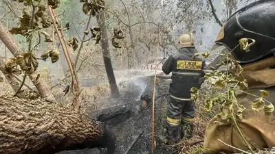 Казахстан пожар в Абайской области