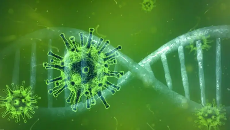 В Иране почти 1000 человек заразились коронавирусом