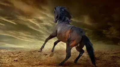 трагедия, животное, село, фото - Новости Zakon.kz от 22.11.2021 11:25