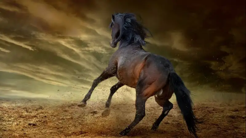 Мужчина оказался в реанимации после попытки забоя лошади