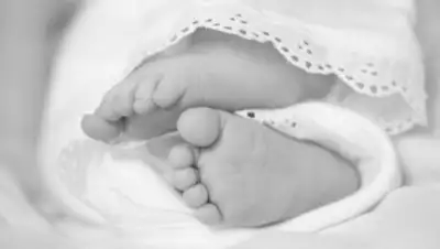 АиФ Камчатка, фото - Новости Zakon.kz от 26.04.2018 12:14