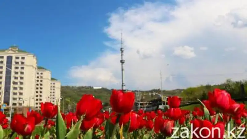 Как преобразится Алматы