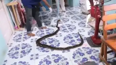 Zakon.kz, фото - Новости Zakon.kz от 23.08.2017 14:22