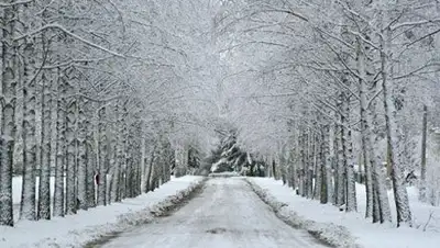 Zakon.kz, фото - Новости Zakon.kz от 15.02.2014 15:54