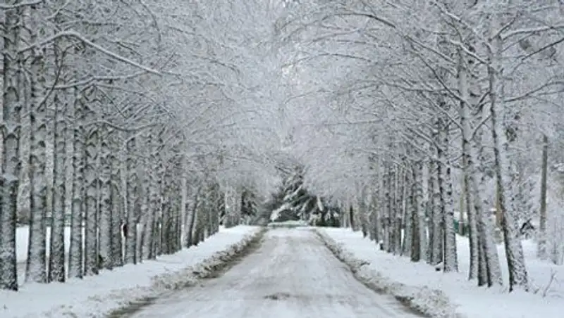 Погода без осадков ожидается в Казахстане