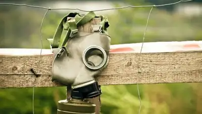 © CC0, фото - Новости Zakon.kz от 06.02.2018 12:10