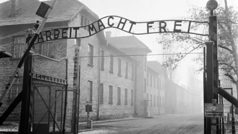 Два португальских подростка пытались оставить свои имена на "воротах смерти" в Освенциме