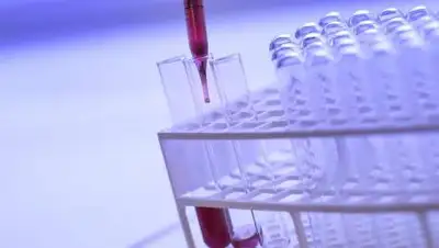 pixabay, фото - Новости Zakon.kz от 11.05.2021 07:01