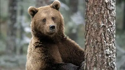 Zakon.kz, фото - Новости Zakon.kz от 15.10.2015 16:56