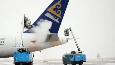 kp.kz, фото - Новости Zakon.kz от 06.02.2019 12:26