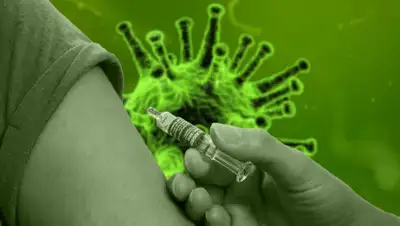 Pixabay, фото - Новости Zakon.kz от 05.09.2020 23:53