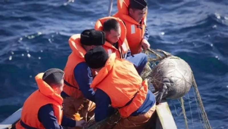 На Каспии освободили из браконьерских сетей около 200 рыб и двух тюленей