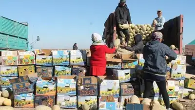 Zakon.kz, фото - Новости Zakon.kz от 13.10.2017 17:10