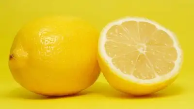 Zakon.kz, фото - Новости Zakon.kz от 16.09.2014 15:52