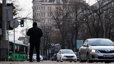легализация автомобилей, фото - Новости Zakon.kz от 24.11.2022 11:41
