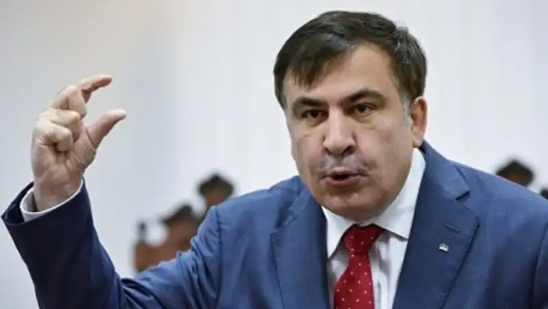 Саакашвили просит ЕС и Меркель о помощи в противостоянии Порошенко