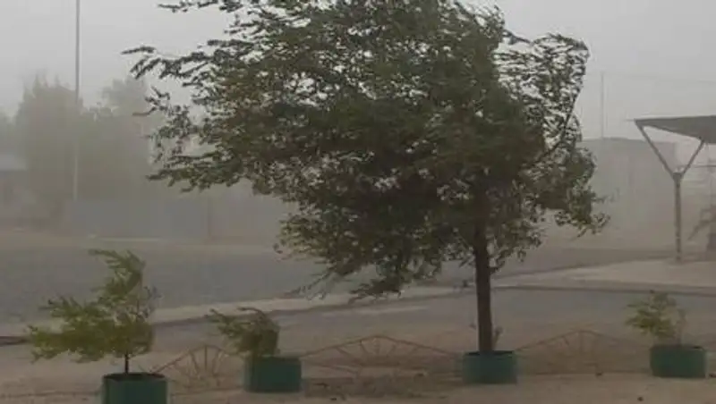 Сильный ветер и пыльные бури ожидаются в ряде областей Казахстана