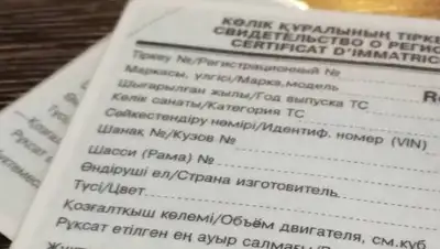 соцсети, фото - Новости Zakon.kz от 05.03.2018 06:30