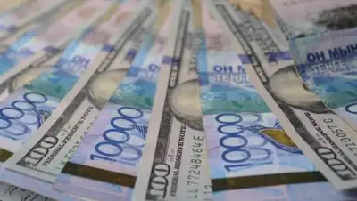 Zakon.kz, фото - Новости Zakon.kz от 14.11.2018 11:26