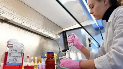 © РИА Новости / Сергей Пятаков, фото - Новости Zakon.kz от 20.09.2018 08:55