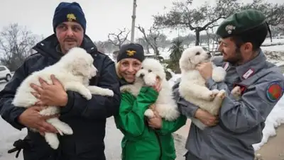 Zakon.kz, фото - Новости Zakon.kz от 24.01.2017 18:37