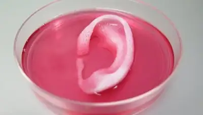 Zakon.kz, фото - Новости Zakon.kz от 27.01.2017 05:16