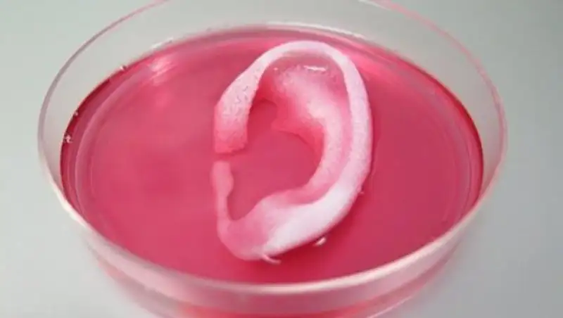 Ученые напечатали человеческую кожу