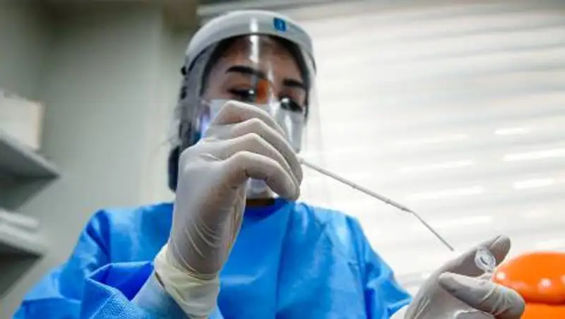 Обнаружена новая мутация коронавируса