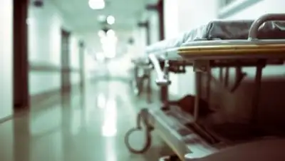 bnews.kz, фото - Новости Zakon.kz от 30.07.2018 08:43