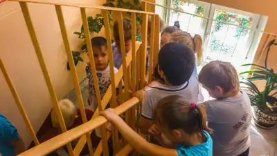 Zakon.kz, фото - Новости Zakon.kz от 23.05.2017 23:21