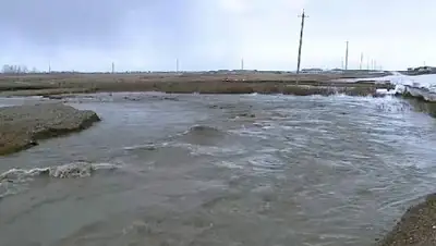 inform.kz, фото - Новости Zakon.kz от 11.04.2018 15:15