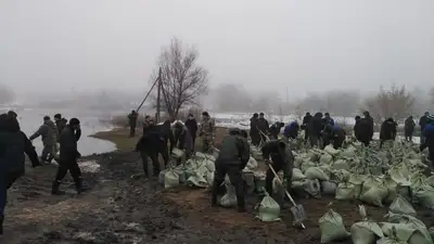 талые воды, фото - Новости Zakon.kz от 15.03.2023 20:22