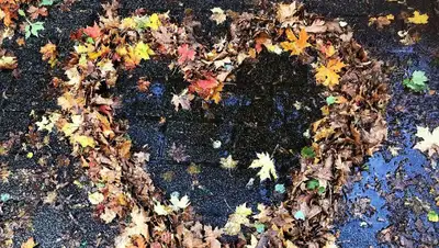 Казахстан, выходные, погода, прогноз, фото - Новости Zakon.kz от 09.09.2022 11:06