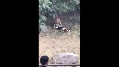 Zakon.kz, фото - Новости Zakon.kz от 30.01.2017 06:22