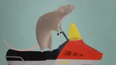 Zakon.kz, фото - Новости Zakon.kz от 24.01.2020 16:23