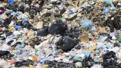 ngs42.ru, фото - Новости Zakon.kz от 27.10.2018 08:13