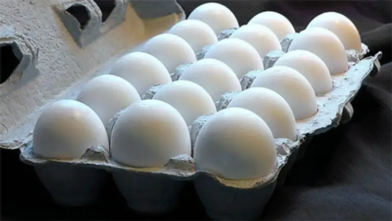 В Павлодаре производителей и поставщиков яиц подозревают в ценовом сговоре