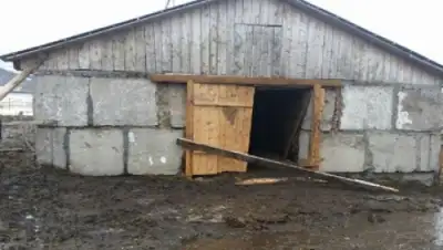 Zakon.kz, фото - Новости Zakon.kz от 28.03.2016 16:26