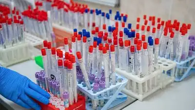 мэрия Москвы, фото - Новости Zakon.kz от 25.01.2021 08:00