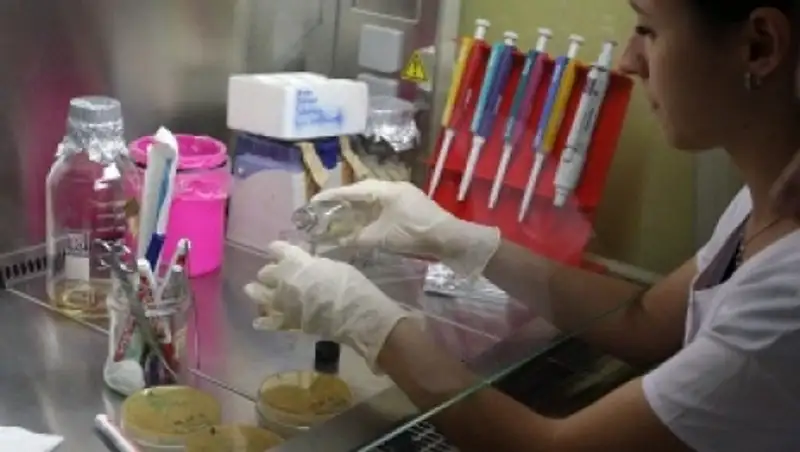 Норвежские ученые провели испытания нового средства для борьбы с раком