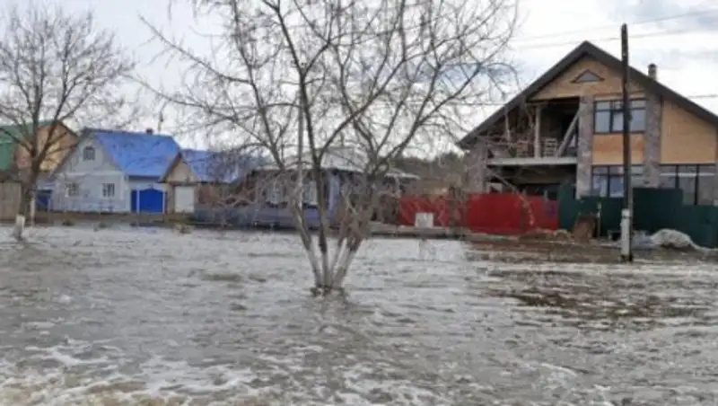 Талыми водами затопило более 120 частных дворов в Узынагаше