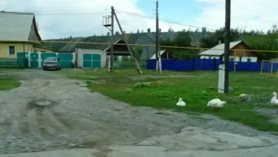 Zakon.kz, фото - Новости Zakon.kz от 07.12.2015 01:03