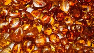 Фото © Виталий Невар/ТАСС, фото - Новости Zakon.kz от 24.01.2018 01:58