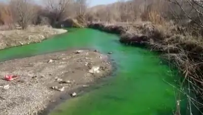 кадр из видео, фото - Новости Zakon.kz от 29.02.2020 15:52