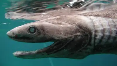 Zakon.kz, фото - Новости Zakon.kz от 11.11.2017 23:25