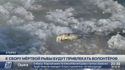 кадр из видео, фото - Новости Zakon.kz от 27.02.2019 06:00